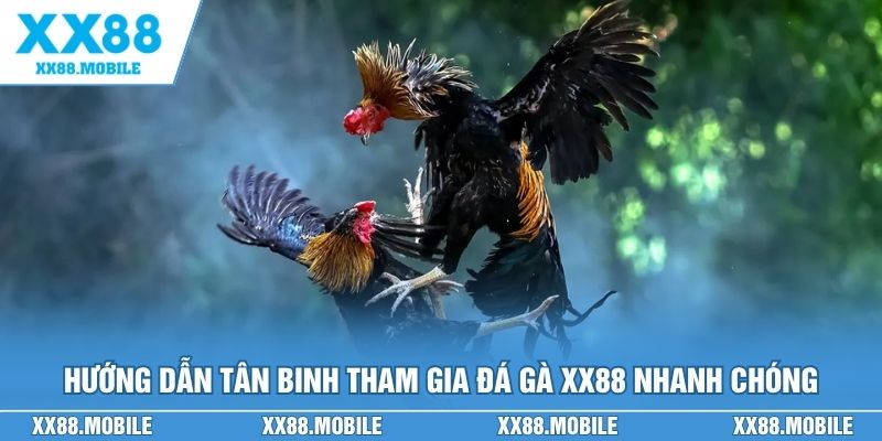 Hướng dẫn tân binh tham gia đá gà XX88 nhanh chóng