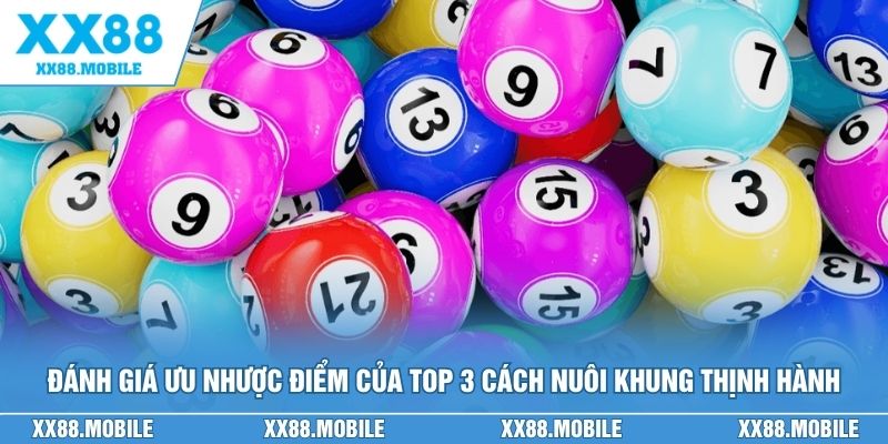 Đánh giá ưu nhược điểm của top 3 cách nuôi khung thịnh hành